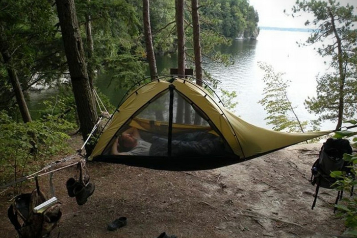 stay-in-the-skogen-här-är-en-gul-isolerade-on-shore