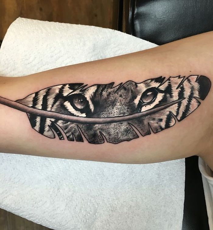 tiger tatuering, arm, arm tatuering, fjäder, tiger ögon, ögon