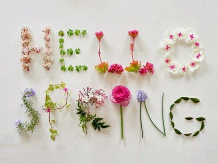 1 świeże wiosenne Obrazy-Halo-Wiosna napisany z kwiatami