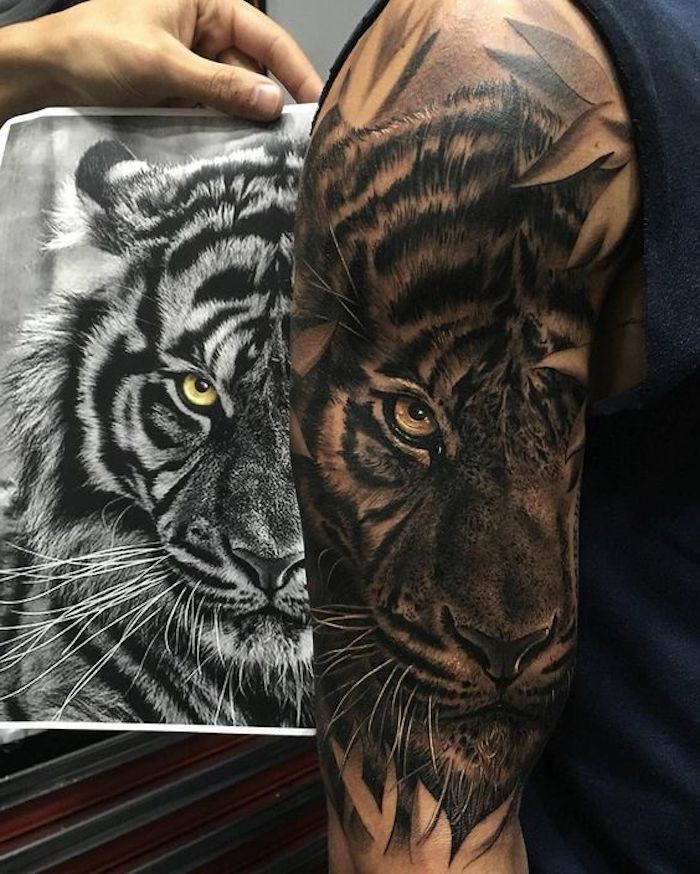 tiger tatuering, svartvitt ritning, övre arm tatuering, tatuering