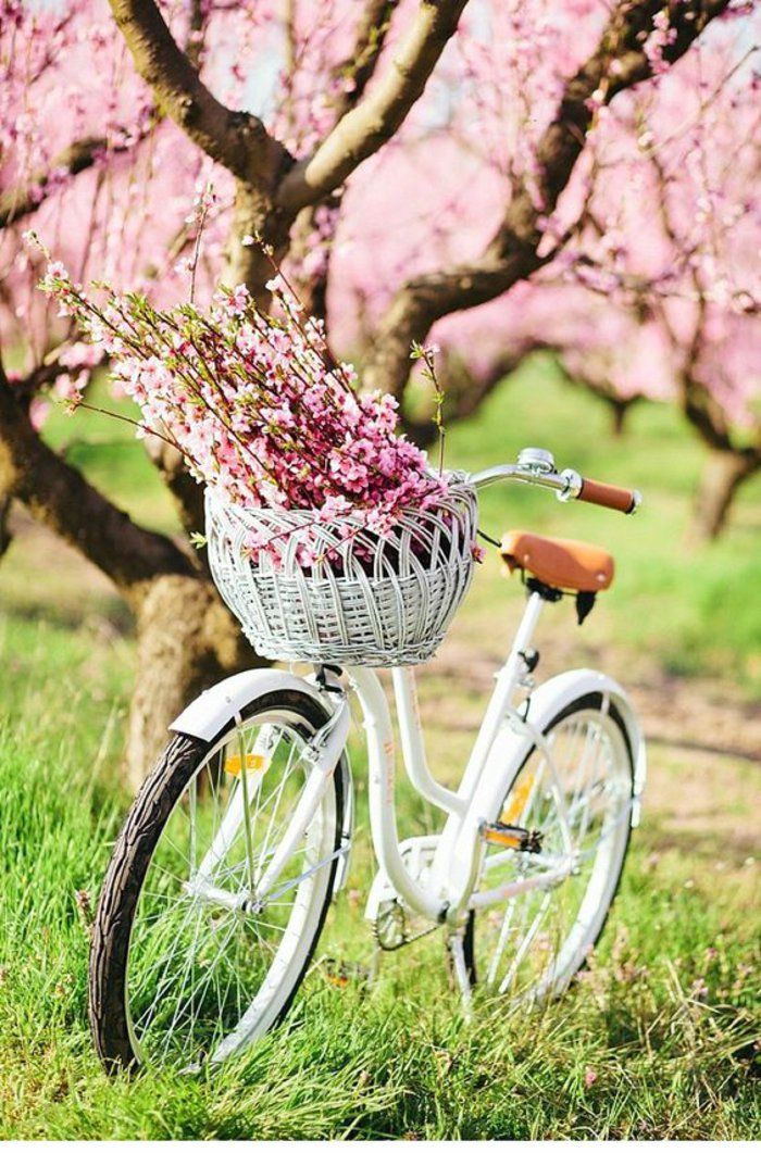10 Fresh Wiosna zdjęcia rocznika rower z różowymi kwiatami