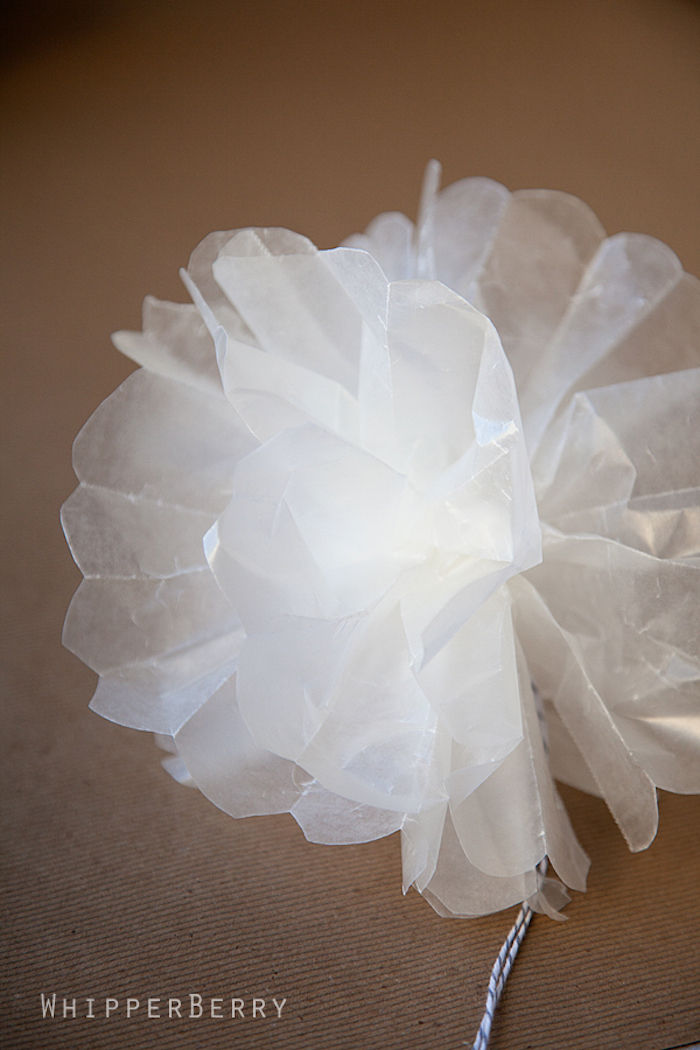 biely kvet mierne priehľadného papiera, zviazaný s nitom