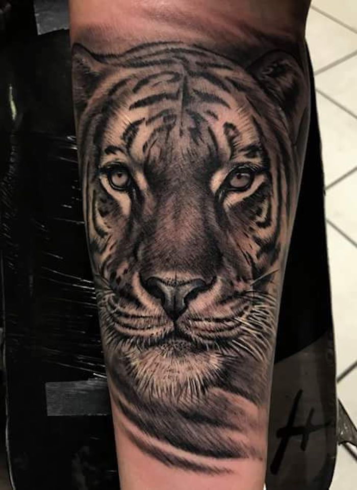tiger tatuering, ben, direktattoo, tatuering i svart och vitt