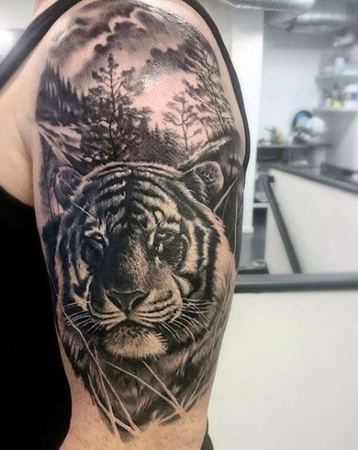 tiger tatuering, man, överarm, övre arm tatuering, skog