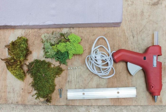 Yosun resimlerini kendiniz yapın: Silikon tabancalı tutkal yosunu