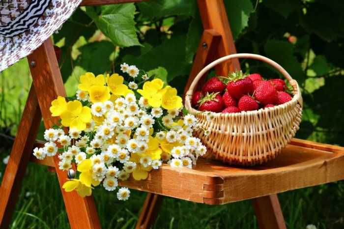 6 Korg med jordgubbar och gula blommor