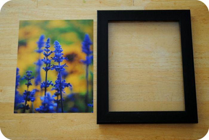 urobte rám obrazu sami, fotku s modrými kvetmi