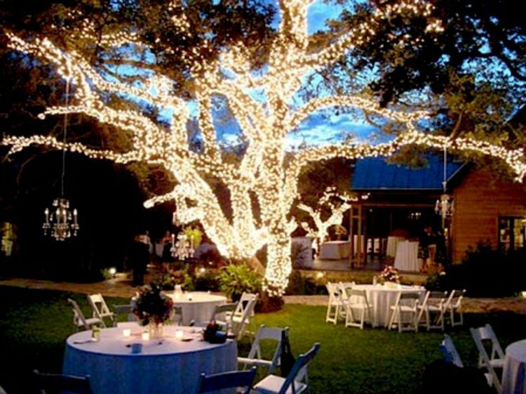 träd-dekoration-ljus-kedja-stil-ädel-utestående-blickfång-i-trädgård-förtjusande