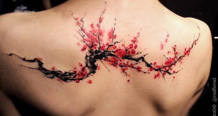 Tatuaj japonez, femeie cu tatuaj colorat pe spate, ramură cu flori de cireș roșu
