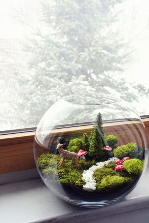 Ställ in ett terrarium - bredvid ett fönster
