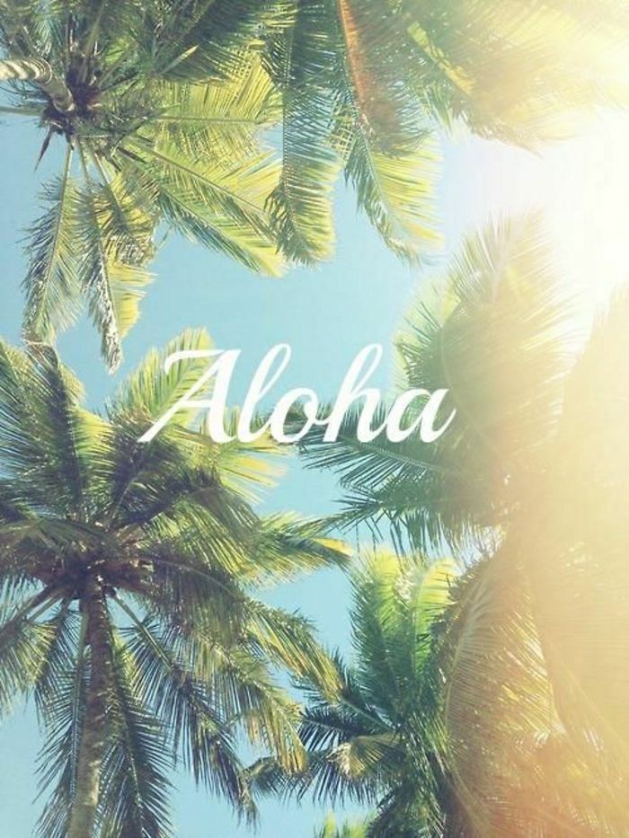 Palms Dinlenme sörf Aloha Hawaii Adaları Egzotik tatil