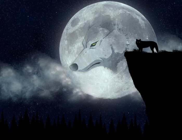 Anime-imagini de fundal cu-the-Moon-și-Wolf