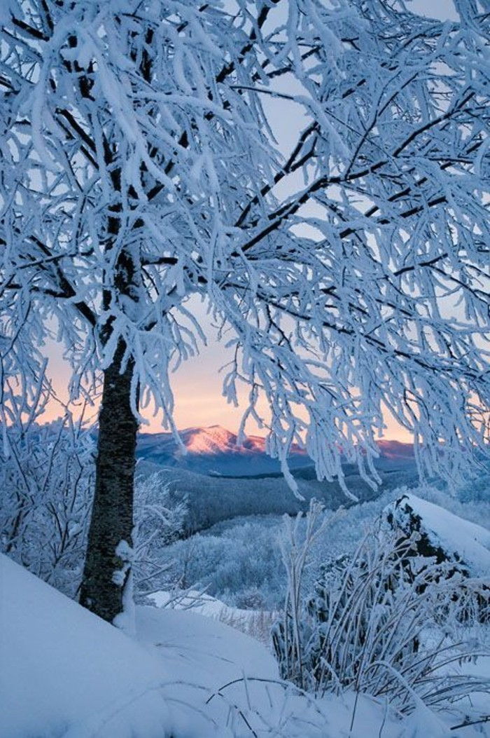 Lookout on-the-Alpės kalnai dengtas-su-sniego-romantiškas Žiema vaizdas