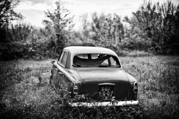 svartvit fotografi Car Forest