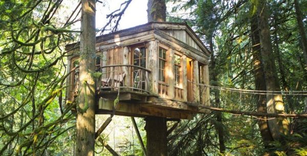 Treehouses-buy arhitektura ideja /