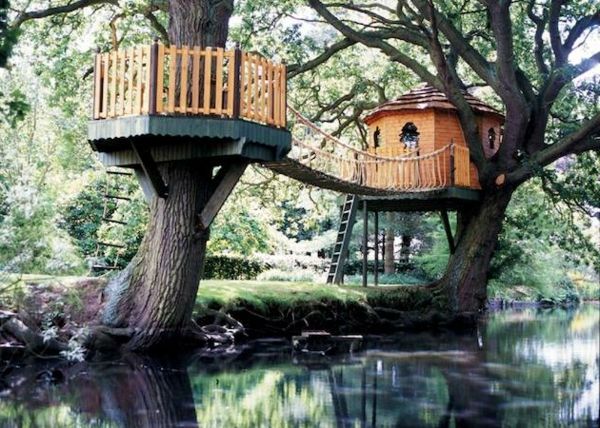 Drevo hiše-z-a-most-build-idea-