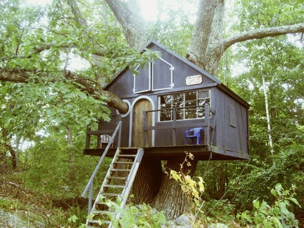 Tree House Hotel v lese