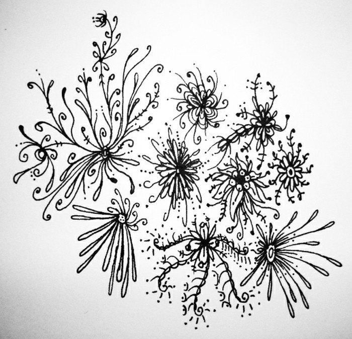 Blyanttegninger-en-få-vakre blomster
