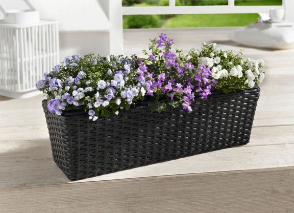 Flower box-for-balcony-in viola