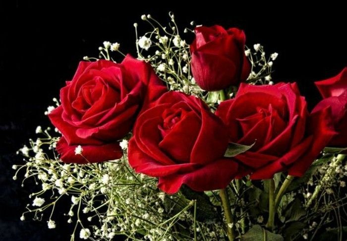 Šopki slike Red Rose z-majhno-weißeх cvetje