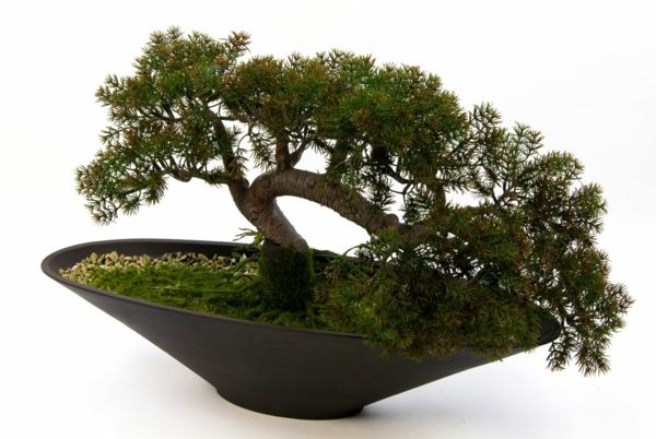 Bonsai kaip ekrano forma