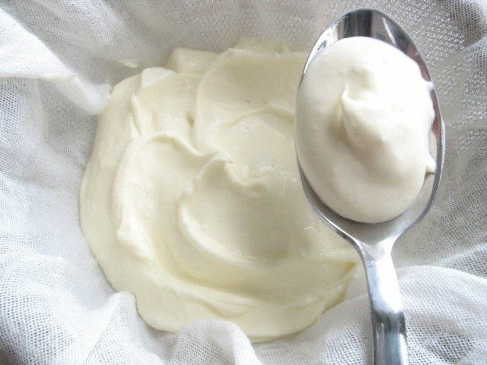 Bulgarien yoghurt på ett tyg