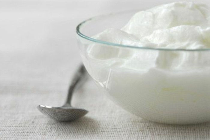 Bulharská jogurt-v-a-shell