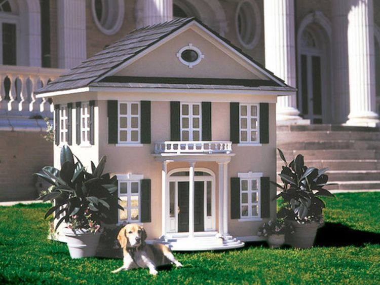 Šuns namas-Chic-kilnus-prabangus-elegantiškas, taurus-pats-kaip-the-arhitecture-kilnus-ypač