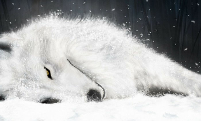Pohode anime obrázky-a-bielo-vlk