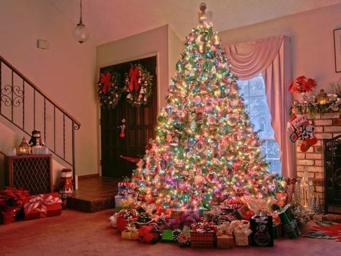 Dekorativa julgran i vardags rum-