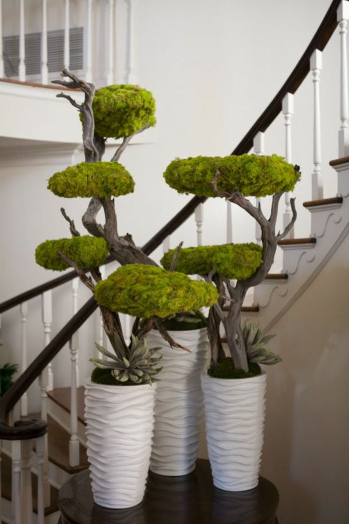 Teto decorativo com-musgo-bonsei-árvores-com-moss-