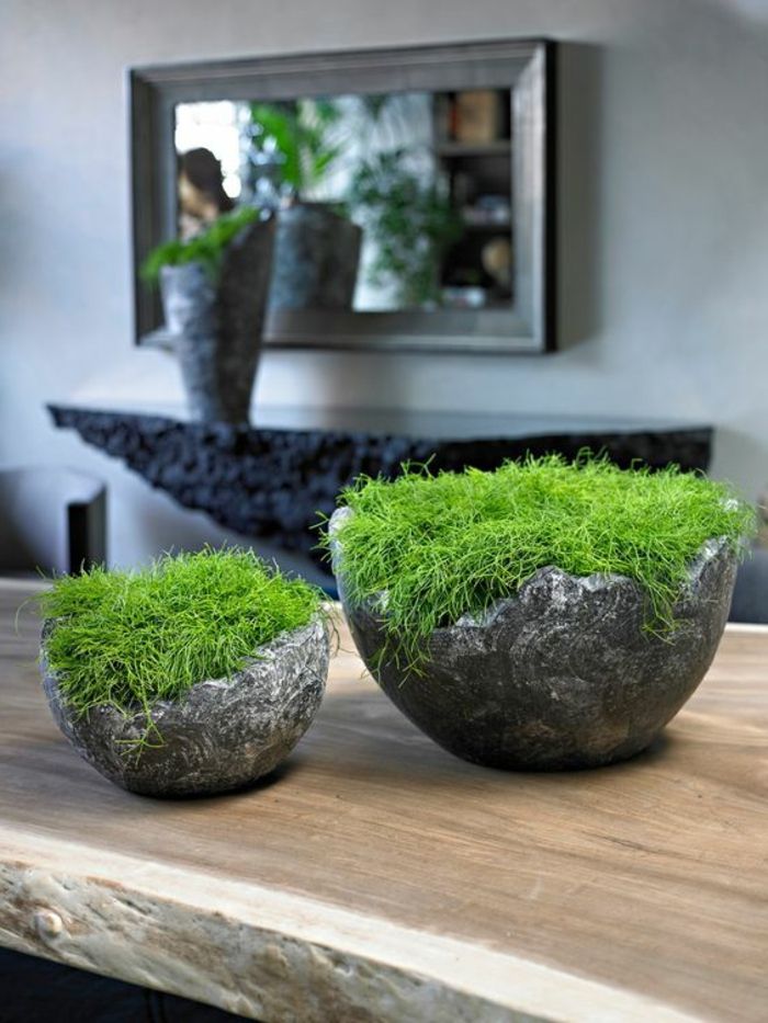 Dekoratyviniai Moss-in-dviejų vazos-in-pilkos spalvų-in-gyvenimo-naujos veidrodis