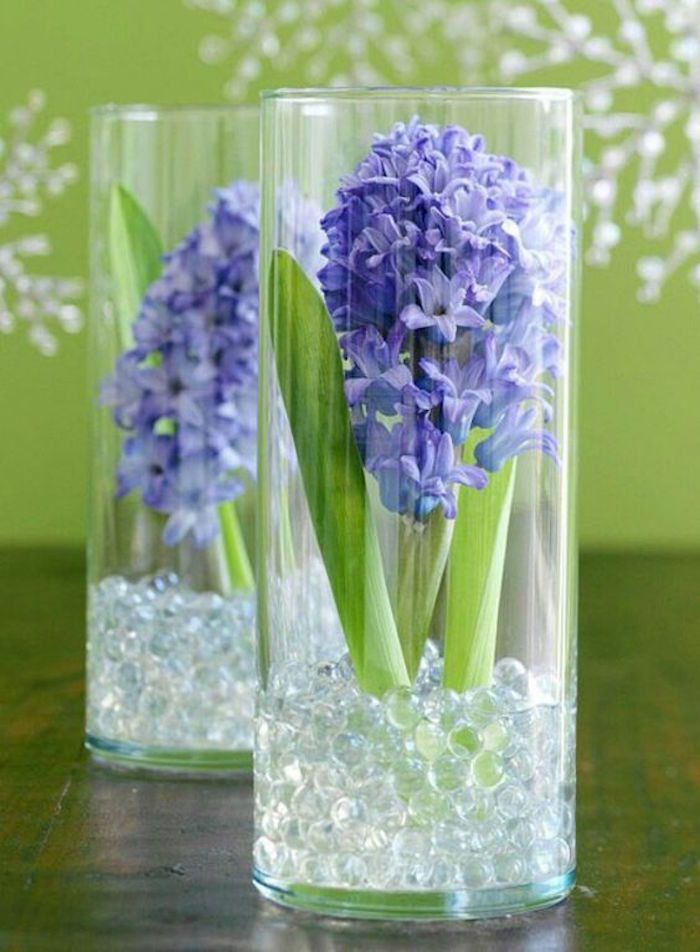 Blomlampor i glas med dekorativa stenar, hyacint