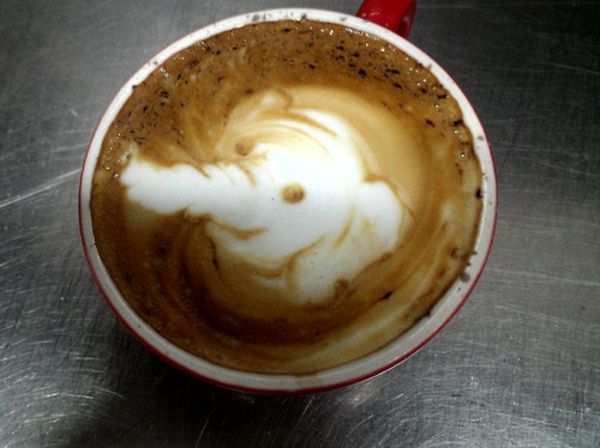 Słoń dekoracje pianki kawy twórczy pomysł