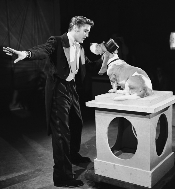 STEVE ALL SHOW - difuzat la 1 iulie 1956 - Episodul 2 - Fotografie: Elvis Presley's Hound Dog 