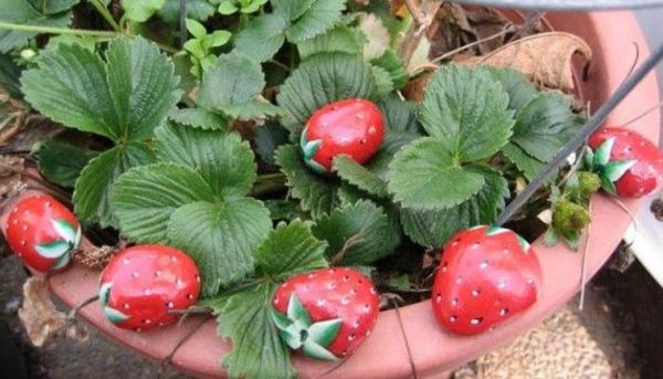 röda jordgubbar-verzierte- stenar som dekoration-for-the-garden