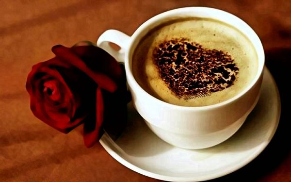 -Kaffeefans filiżanki kawy z pra obrazu