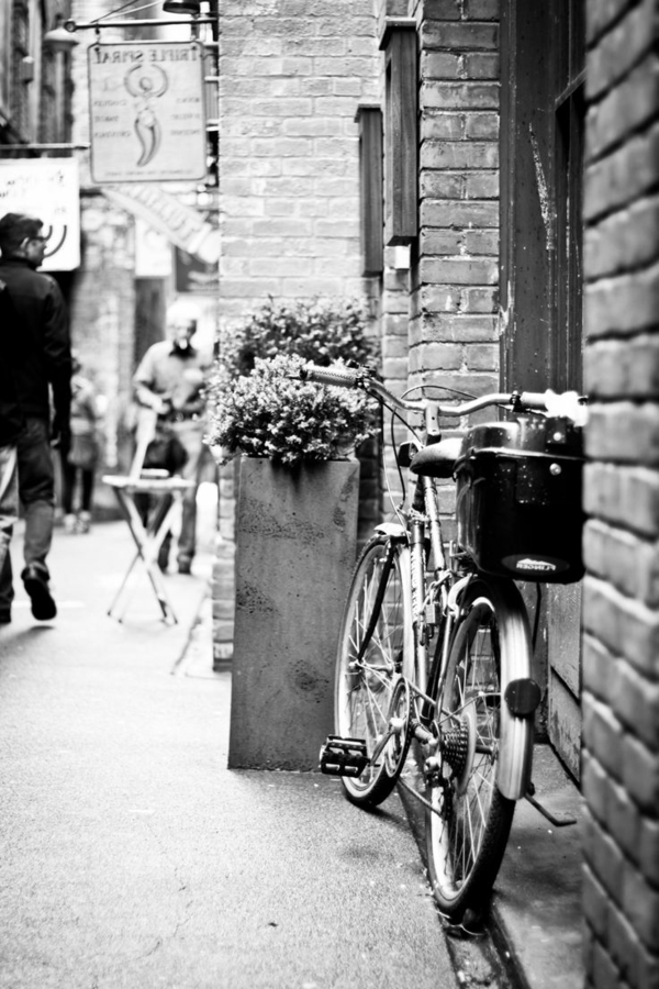 Biciclete Street flori