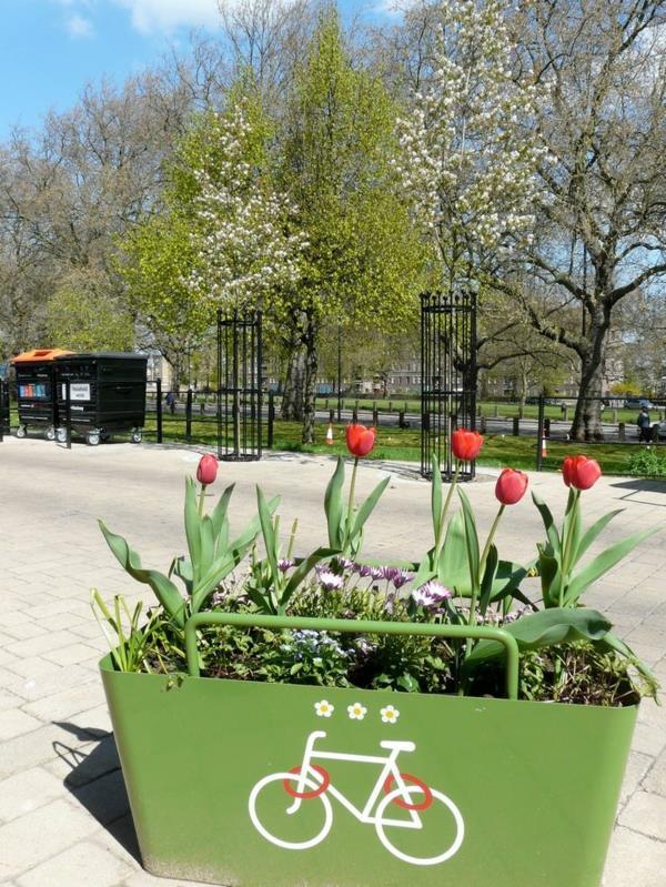 stojaki rowerowe i skrzynka z tulipanami