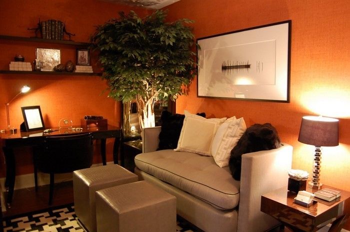 Color-by-living-in-Orange-A-ostentative decorare