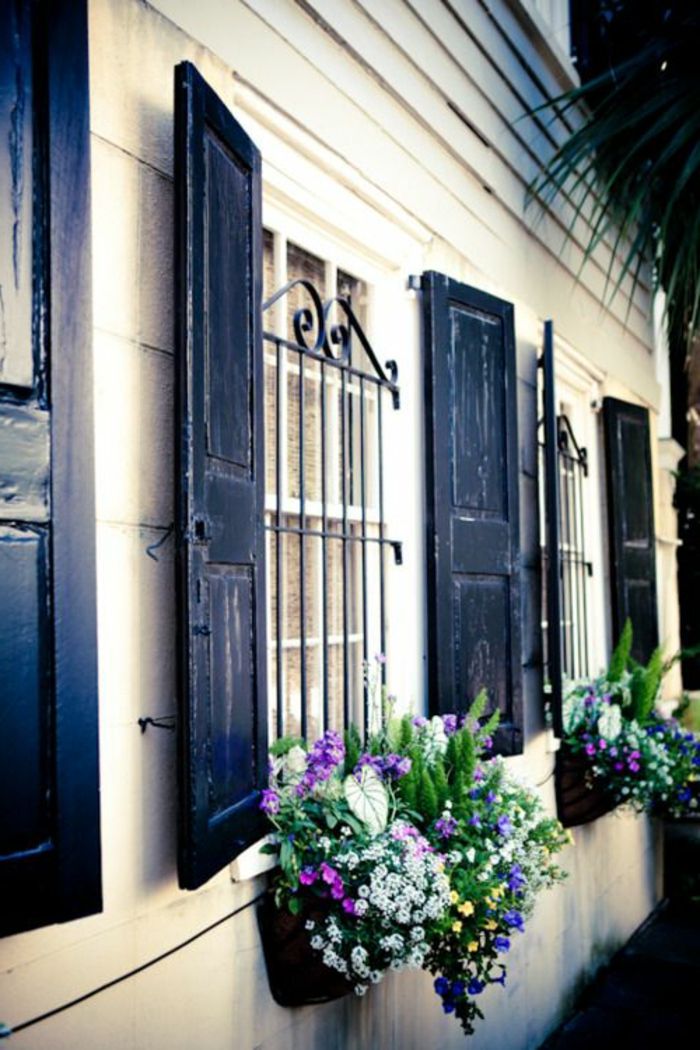 persiane della finestra-reticolo e fiori neri