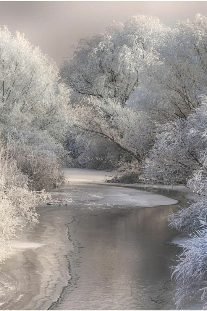 Fotografie sa zimné motívy-frozen-jazera-konáre pokryté snehom s prácou