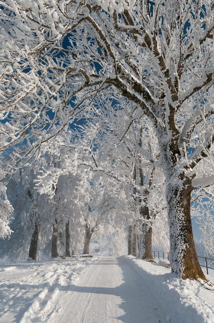 Fotografia com motivos neve do inverno motivos atmosféricas caminhada na neve