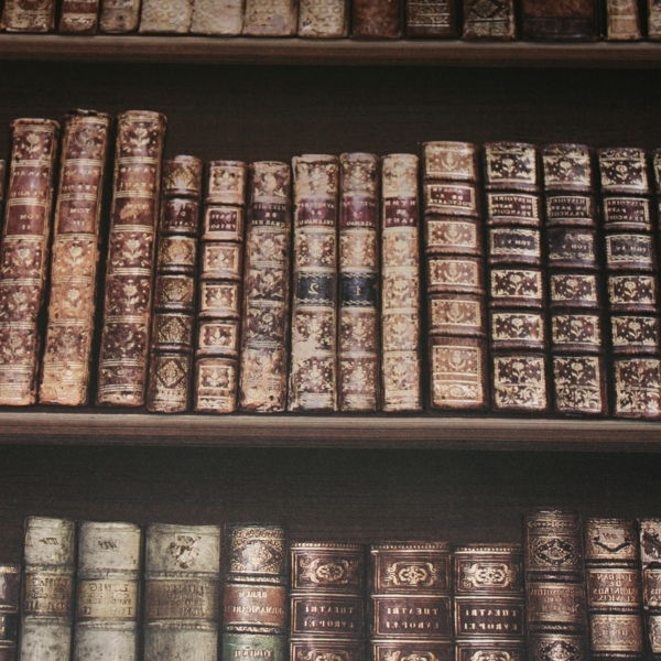 Hradobný múr knihy so starými-kníh-zmenená