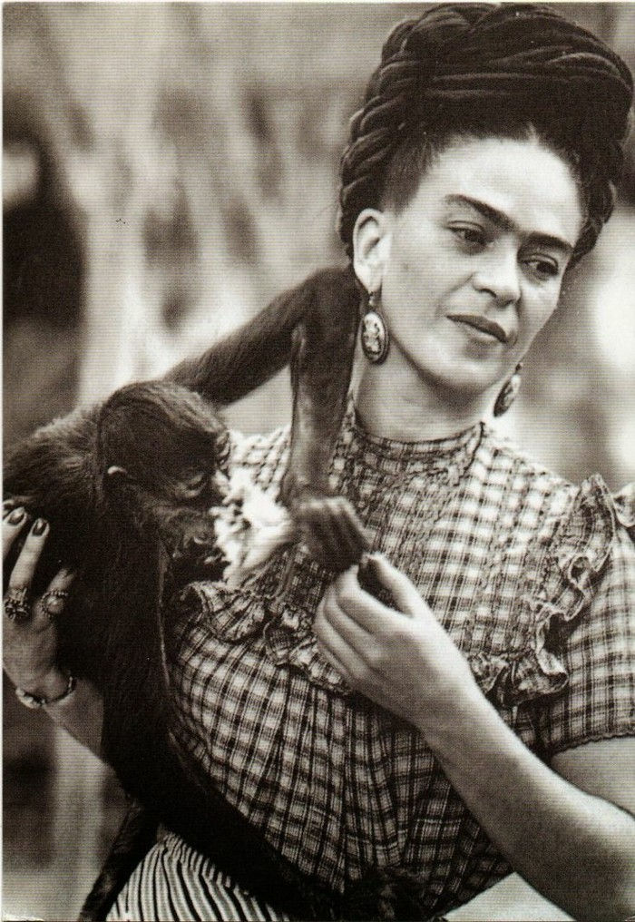 Frida Khlo-exotice-animale de companie-Affe2