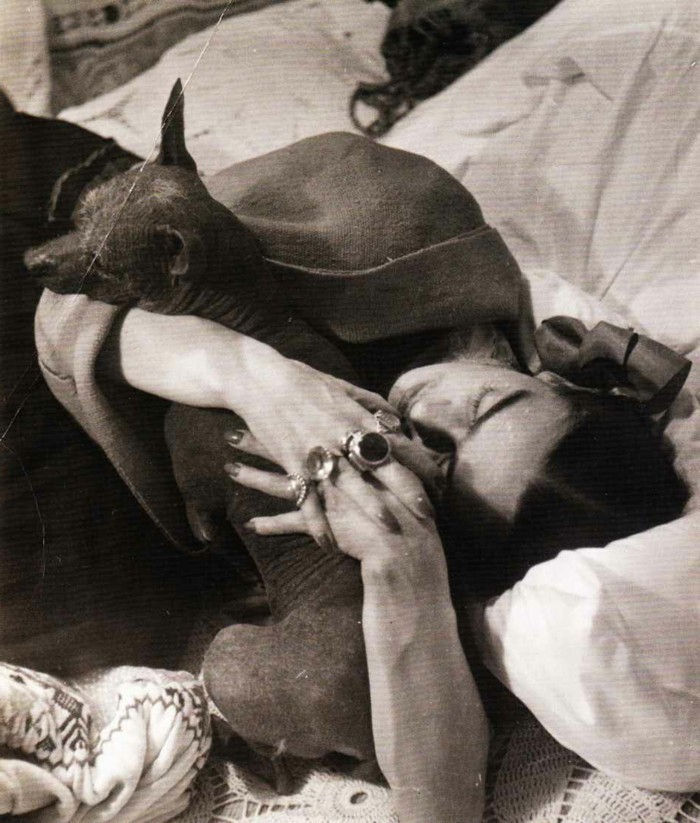 Frida Khlo Animale de companie exotice-Dog Hug