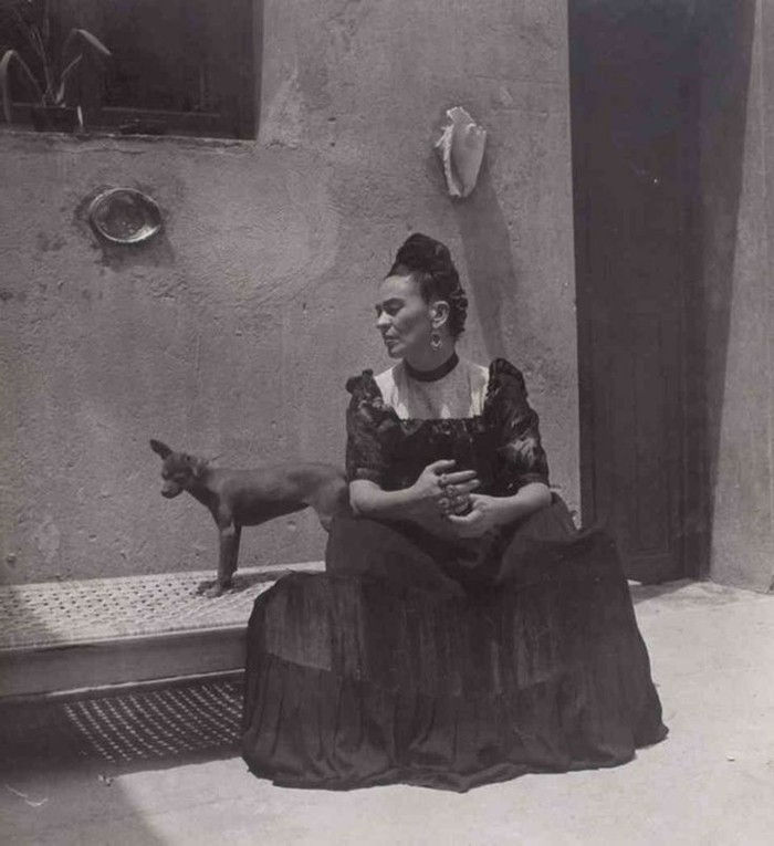 Frida Khlo Animale de companie exotice-Dog