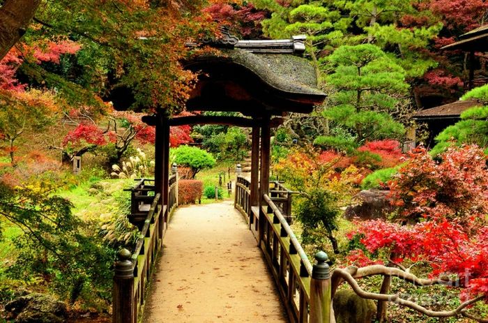 Vrt Bridge-japonsko-eksotičnih