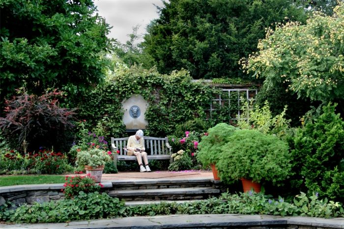 Garden Park-wide-prostorski-puše Flower čudovito-angleško-British