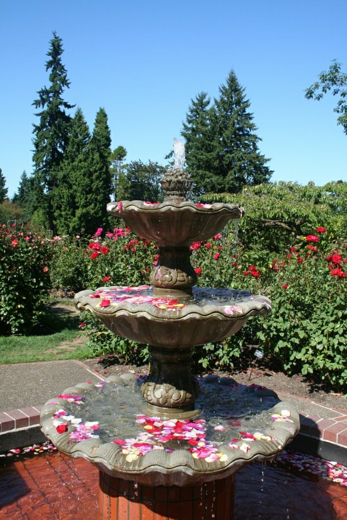 Garden Vodnjak cvetni listi vrtnice aristokratske